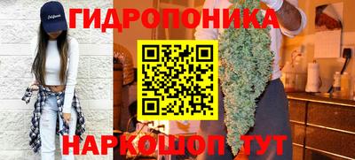 a pvp Гагарин
