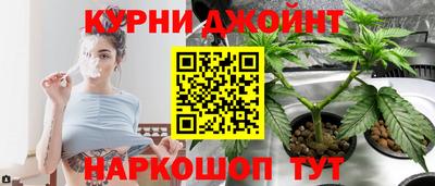 mdma Гатчина