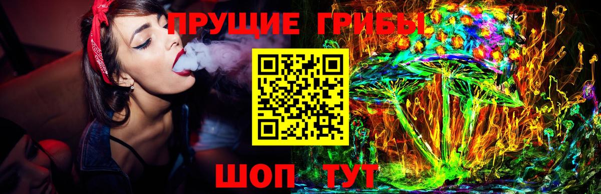 Нововоронеж  где можно купить наркотик  Галлюциногенные грибы GOLDEN TEACHER  Вход с VPN  Псилоцибиновые грибы мухоморы 